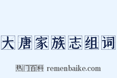 大唐家族志组词是什么意思的图片